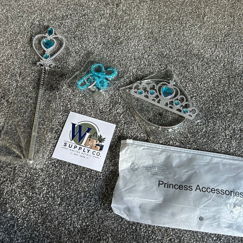 Princess silver plastic - princess,
